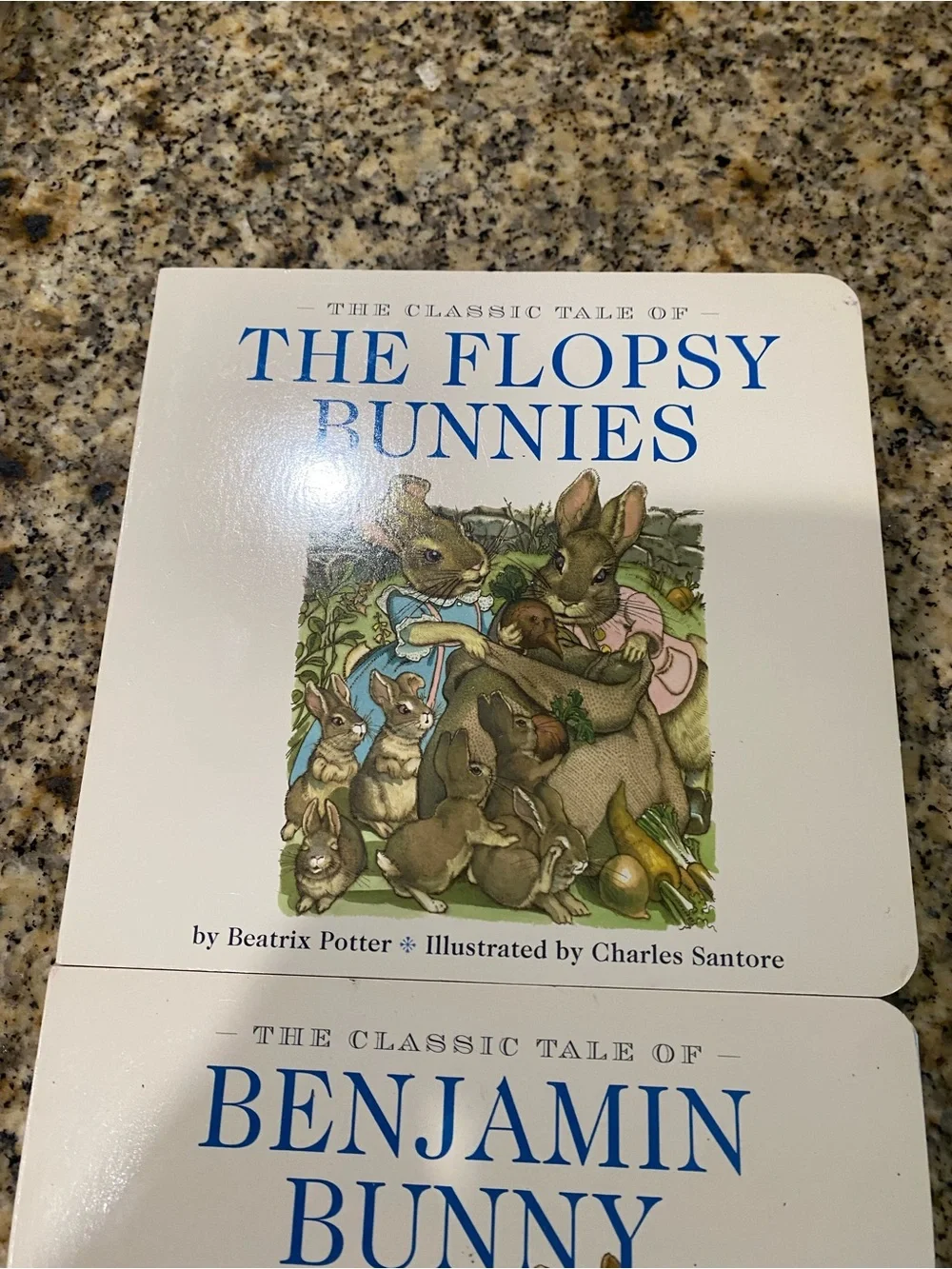 VTG Beatrix Potter Board Book Benjamin Bunny & Flopsy Bunnies Charles Santore